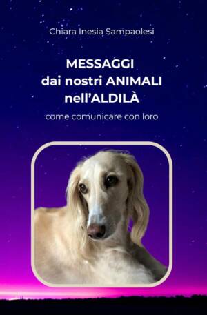 Messaggi dai nostri animali nell'Aldilà: come comunicare con loro