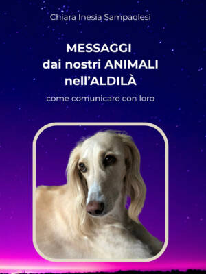Messaggi dai nostri animali nell'Aldilà: come comunicare con loro